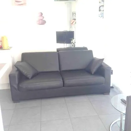 Studio Avec Vue Sur La Mer Et Terrasse Amenagee A Les Pins Appartement